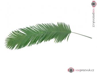 Kokos - královská palma list (kus), 210 cm
