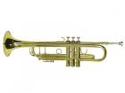 Dimavery TP-20 B..
