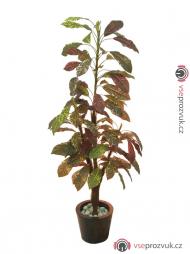 Croton mit Cocosstamm, 180 cm
