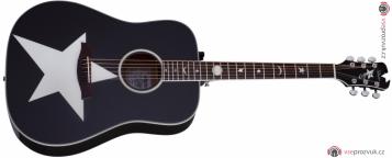 SCHECTER Robert Smith RS-1000 Stage Acoustic Black