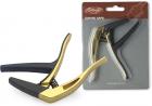 Stagg SCPX-CU GD..