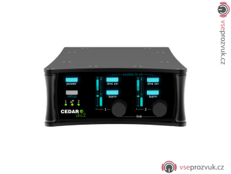 CEDAR Audio DNS 2