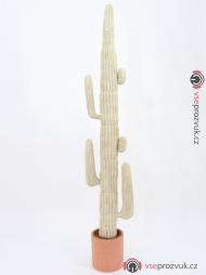 Mexický kaktus bílý, 228 cm