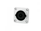 Neutrik speakon 8..