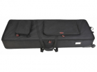 SKB Cases..
