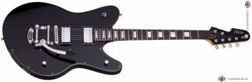 SCHECTER Robert Smith UltraCure Black