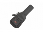 SKB Cases  1SKB-GB66