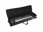 SKB Cases..