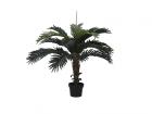 Kokosová palma, 90..