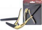Stagg SCPX-FL GD..