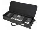 SKB Cases..