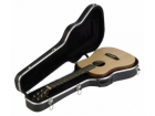 SKB Cases  1SKB-300