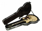 SKB Cases  1SKB-35