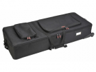 SKB Cases..